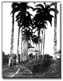 Foto da Fazenda São Bernadino